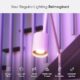 611Gu5DM0QL._AC_SX466_.jpg Nanoleaf Essentials Smart LED Color-Changing Light Bulb (60W)